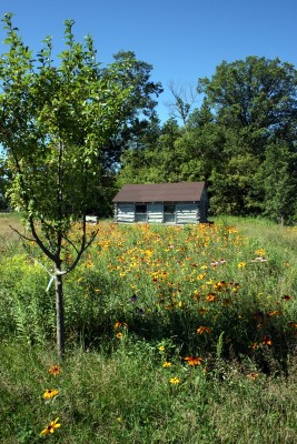 Log Cabin
