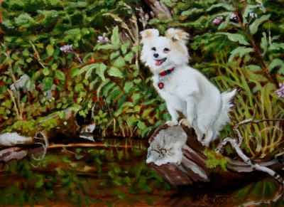 White Pomeranian