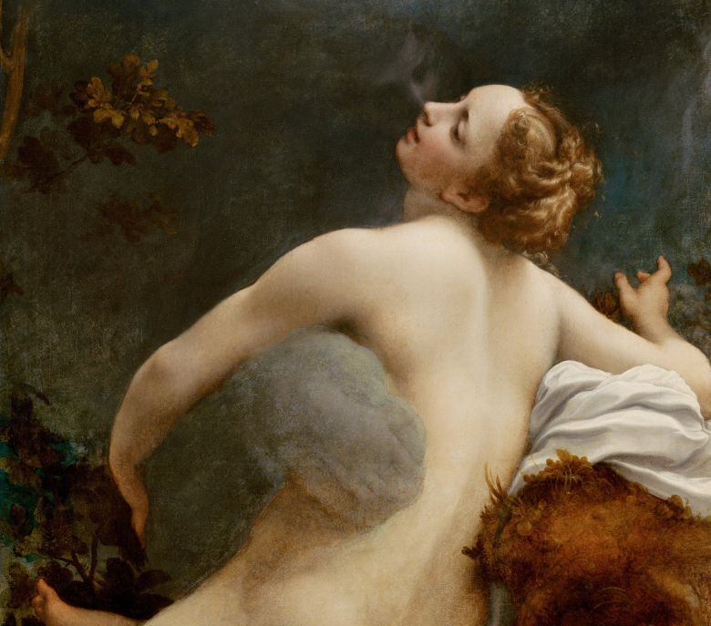 http://cosimodemonroy.com/wp-content/uploads/2013/01/Jupiter-e-Io-Correggio1.jpg